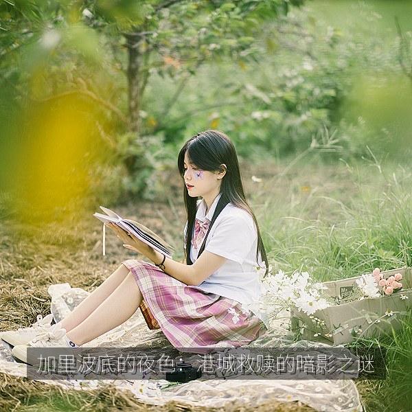 加里波底的夜色:港城救赎的暗影之谜