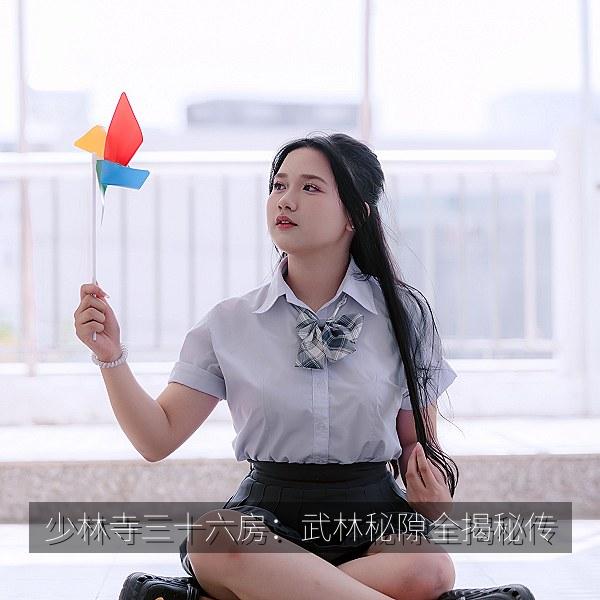 少林寺三十六房:武林秘隙全揭秘传