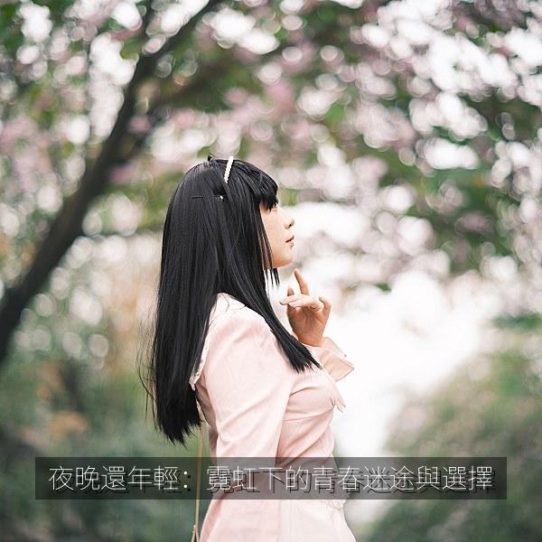 夜晚還年輕:霓虹下的青春迷途與選擇